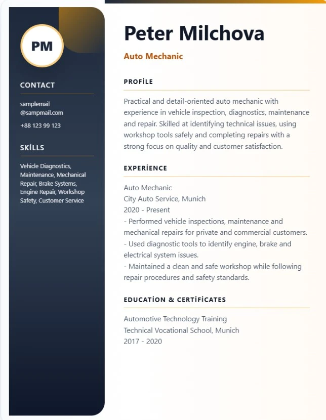 Creative Turkey Modern CV template preview